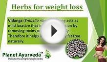 Weight Loss Herbs & Remedies, Obesity Herbs & Ayurvedic